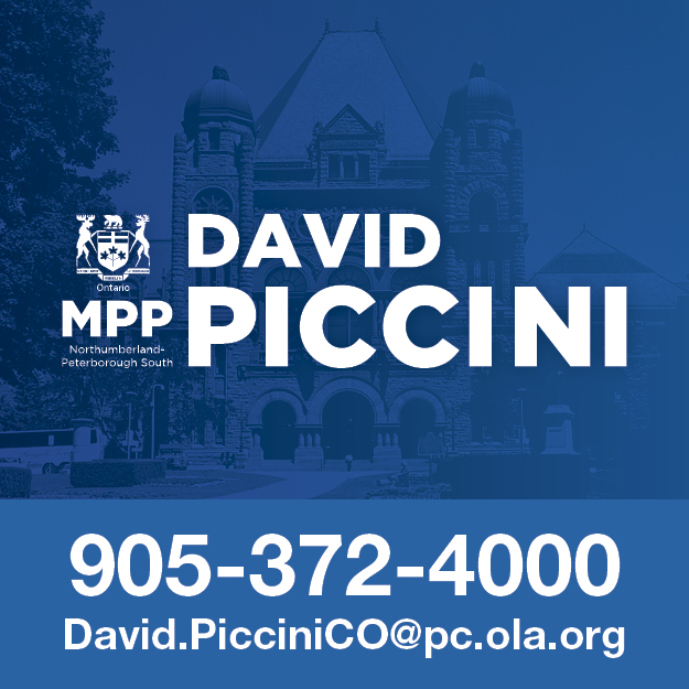 https://www.davidpiccinimpp.ca/